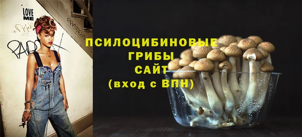 спайс Нягань